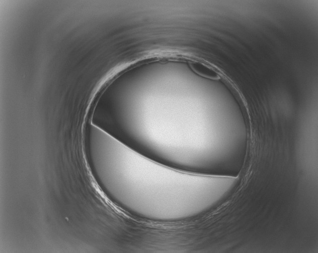 X0000086051045200703230915