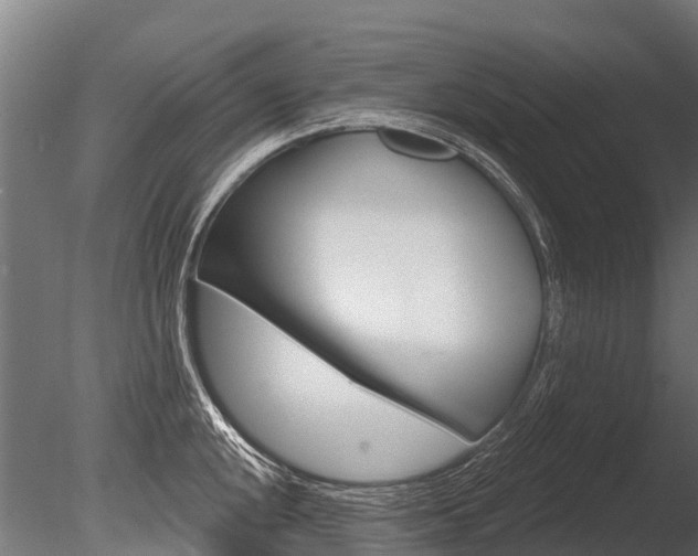 X0000086051048200703230915
