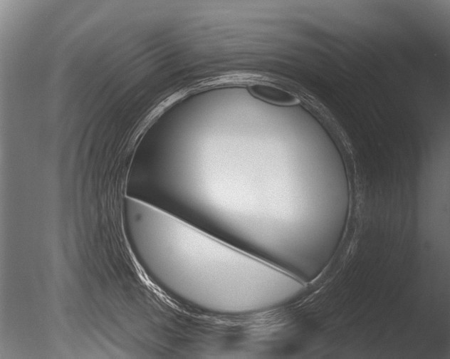 X0000086051049200703230915