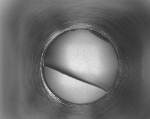 X0000086051055200703230915