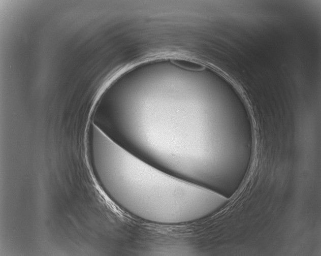 X0000086051056200703230915