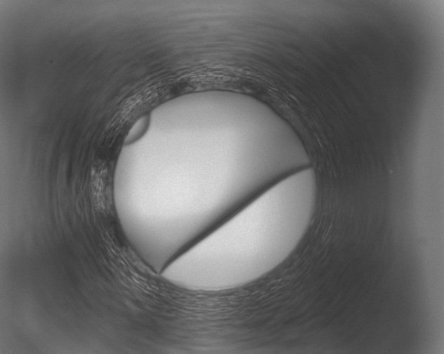 X0000086051059200703230915