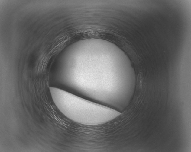 X0000086051060200703230914