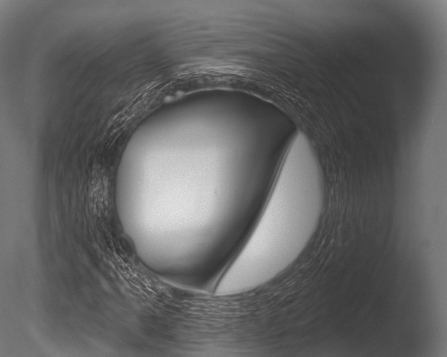 X0000086051061200703230914