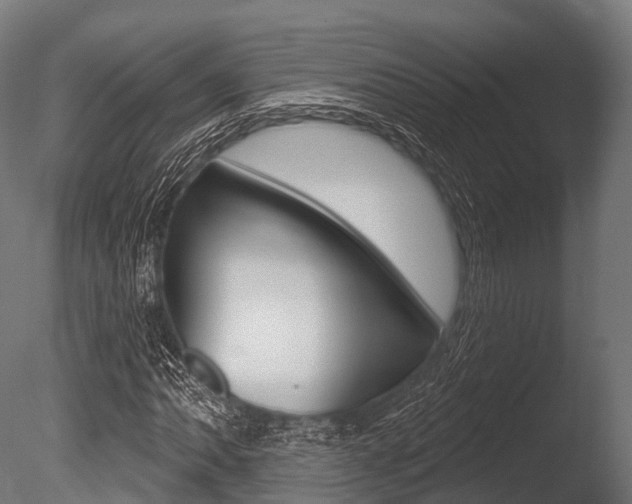 X0000086051062200703230914