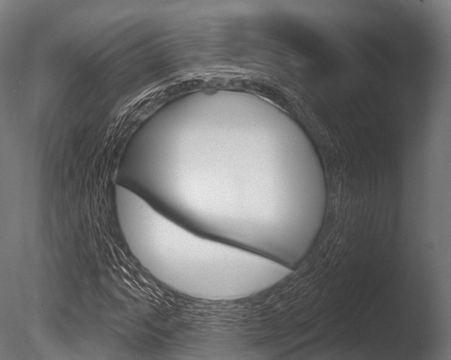 X0000086051063200703230914