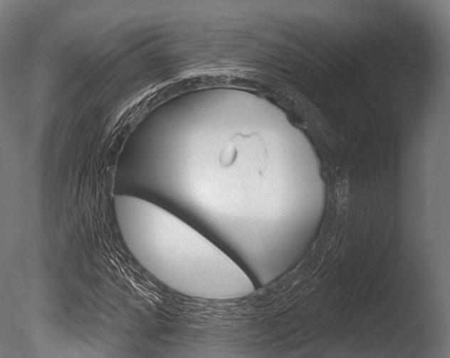 X0000086051064200703230914