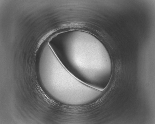 X0000086051066200703230914