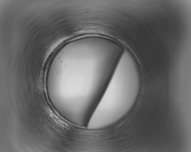 X0000086051068200703230914