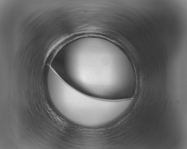 X0000086051069200703230914