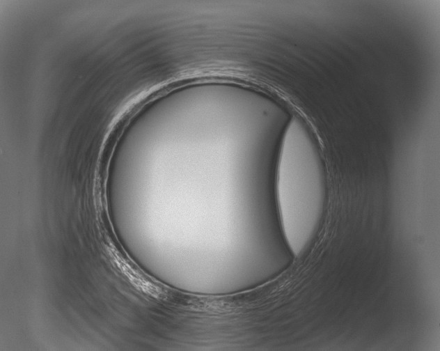 X0000086051072200703230914