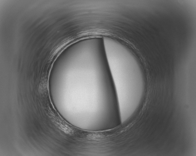 X0000086051073200703230914