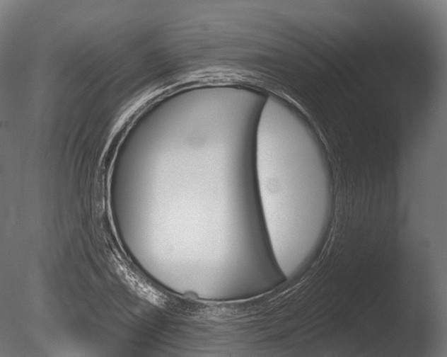 X0000086051075200703230914
