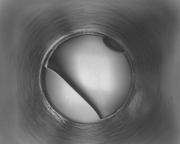 X0000086051076200703230914