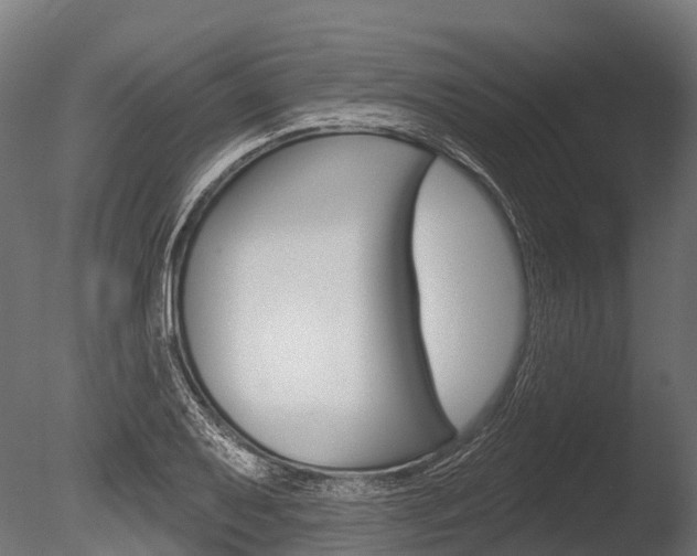 X0000086051079200703230914