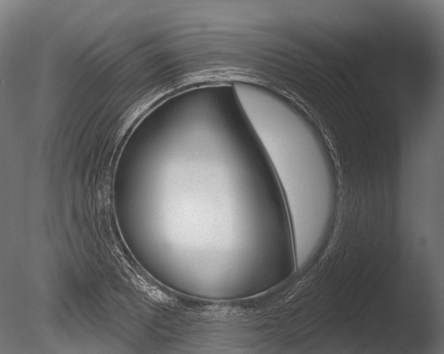 X0000086051081200703230914