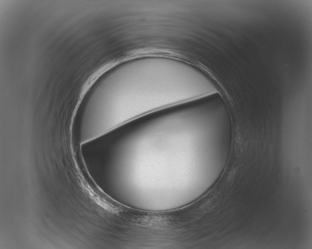 X0000086051082200703230914