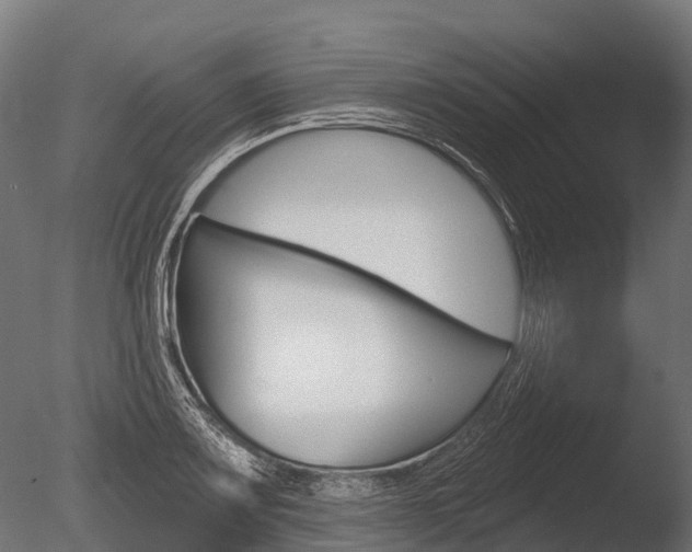X0000086051083200703230914
