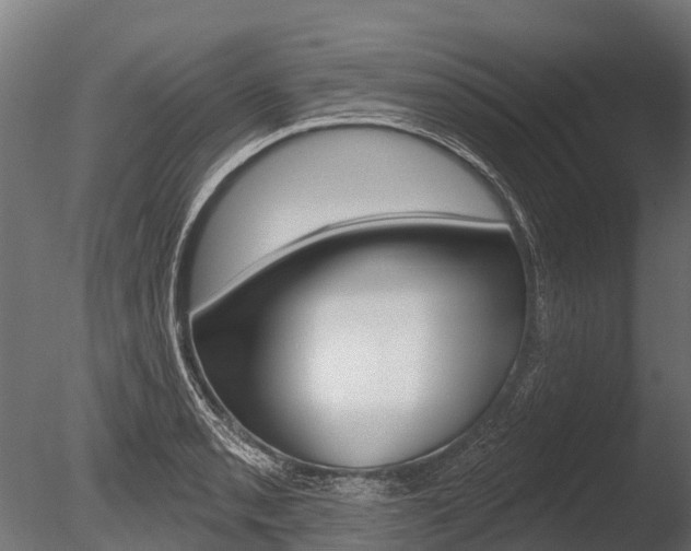 X0000086051085200703230914