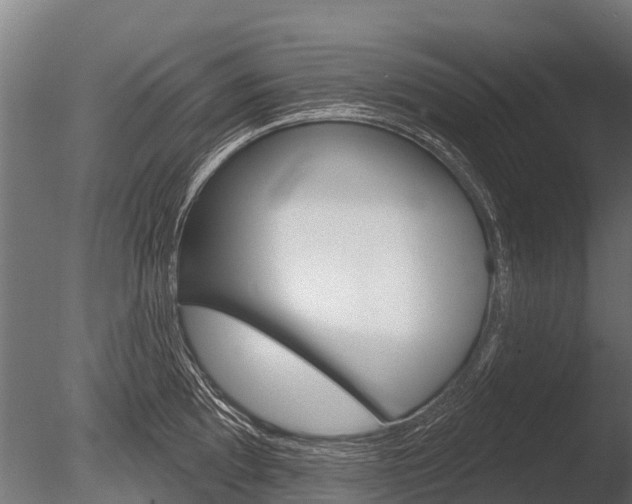 X0000086051097200703230914