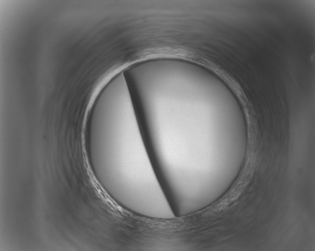 X0000086051104200703230914