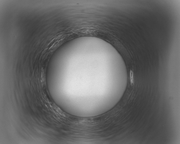 X0000086051107200703230913