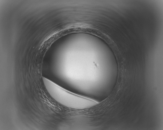 X0000086051112200703230913