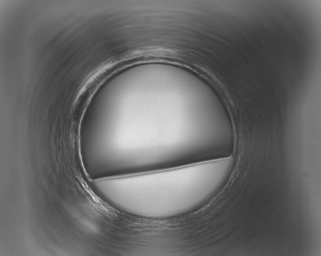 X0000086051115200703230913