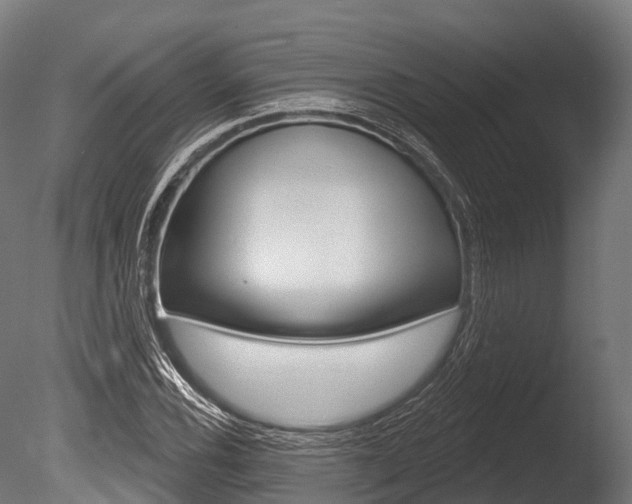 X0000086051116200703230913