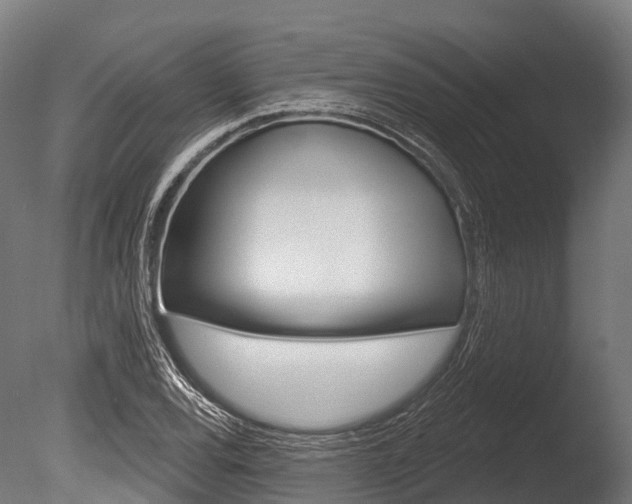 X0000086051120200703230913