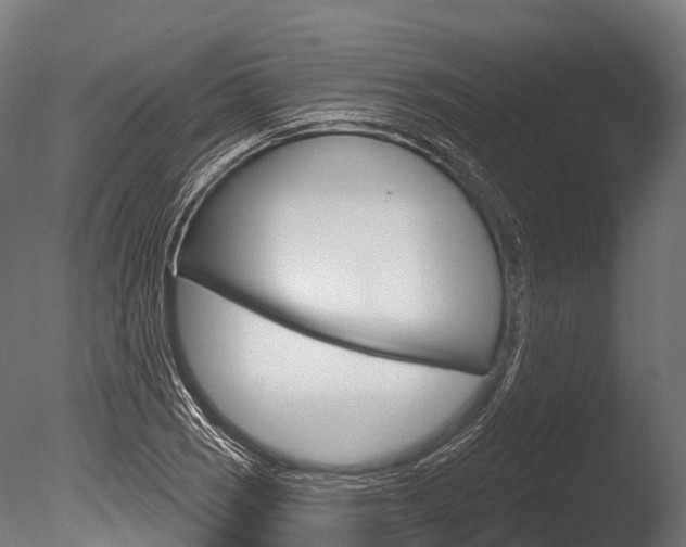 X0000086051121200703230913