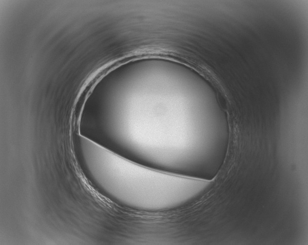X0000086051124200703230913
