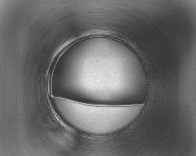 X0000086051127200703230913