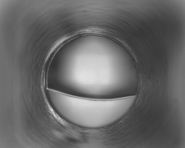 X0000086051131200703230913