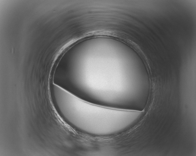 X0000086051133200703230913