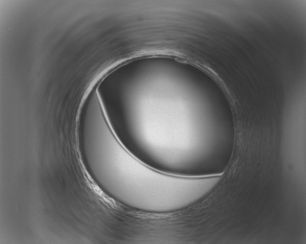 X0000086051140200703230914