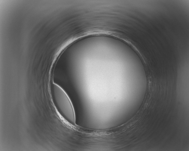 X0000086051143200703230914