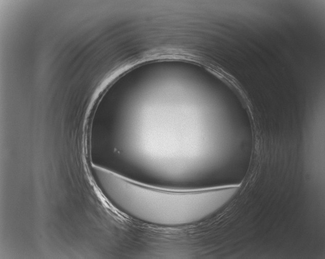 X0000086051144200703230914