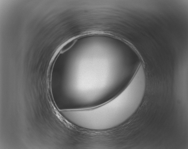 X0000086051148200703230914