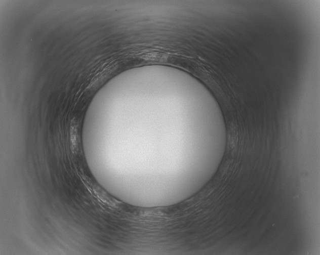 X0000086051154200703230913