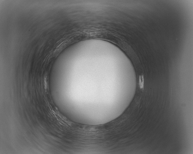 X0000086051155200703230913