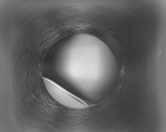 X0000086051156200703230913
