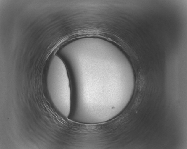 X0000086051162200703230913