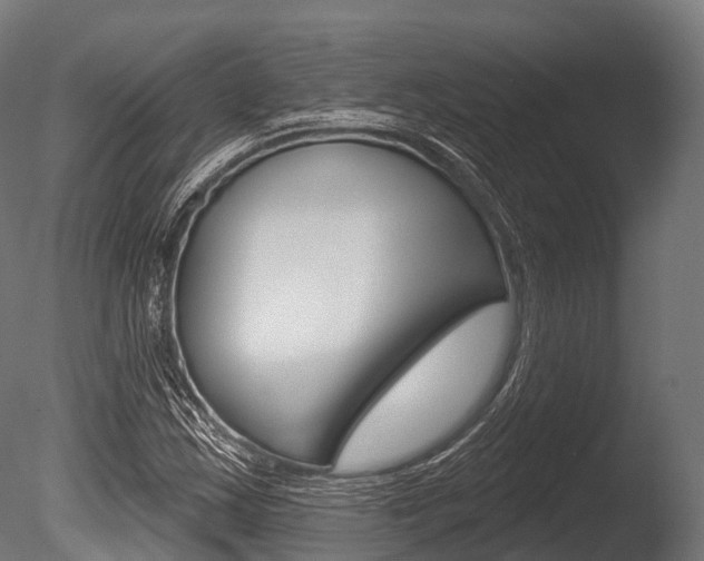 X0000086051163200703230913