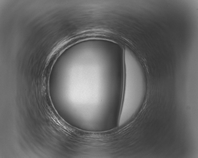 X0000086051164200703230913