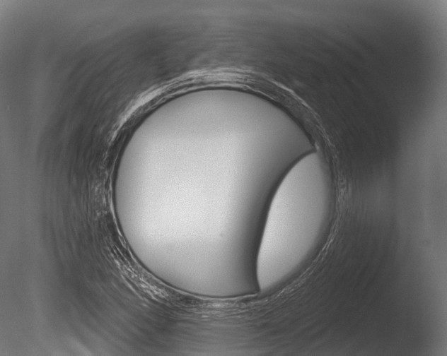 X0000086051166200703230913