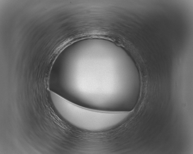 X0000086051169200703230913