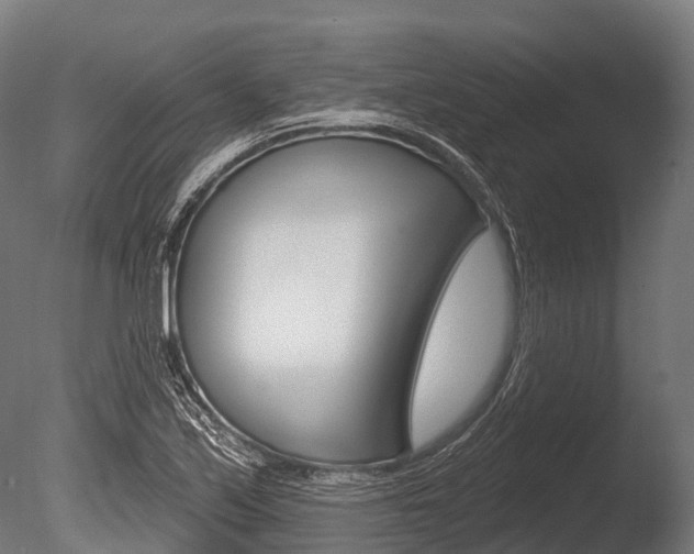 X0000086051171200703230913