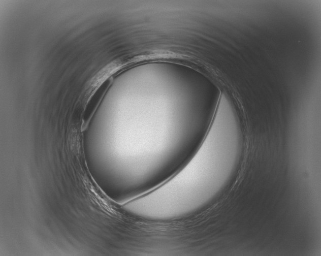 X0000086051177200703230912