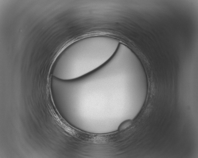 X0000086051178200703230912